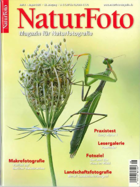 Cover Natur Foto