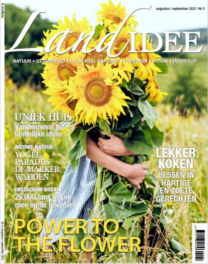 Cover Landidee
