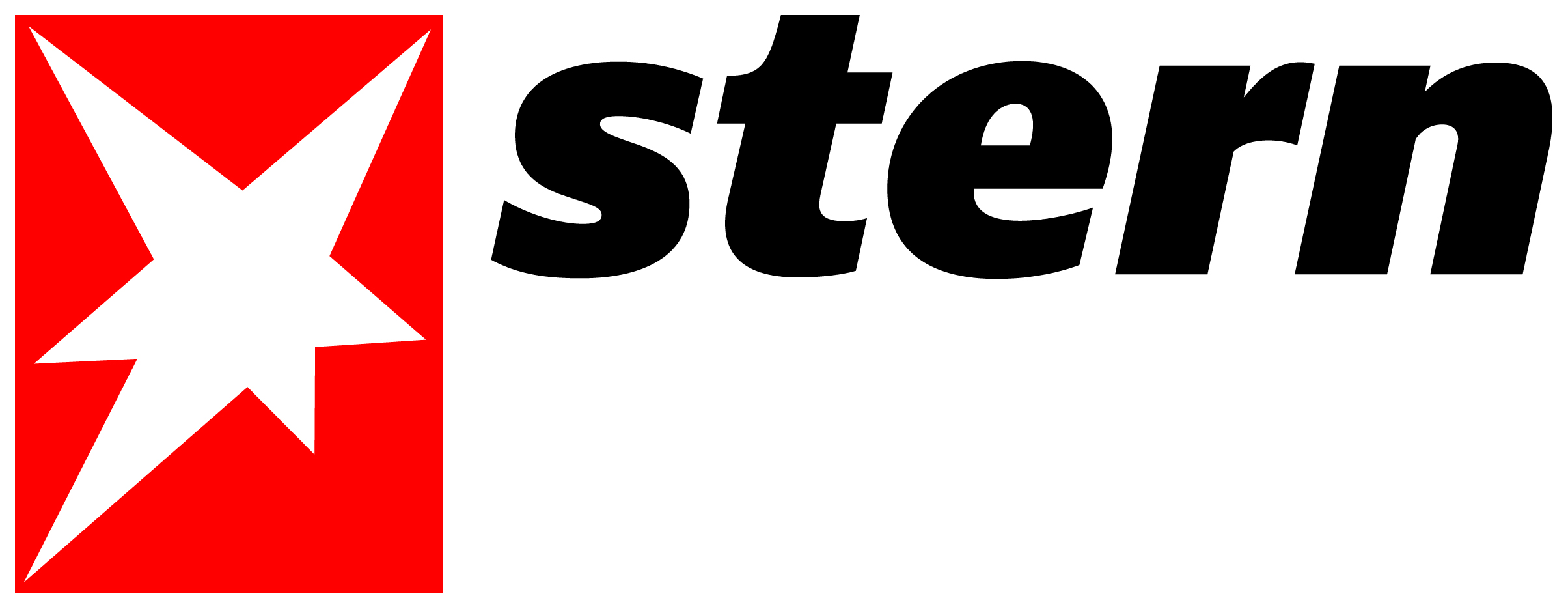 Stern Logo 2013