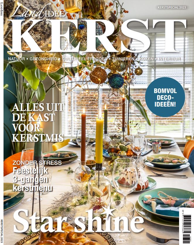 Landidee Kerst Cover
